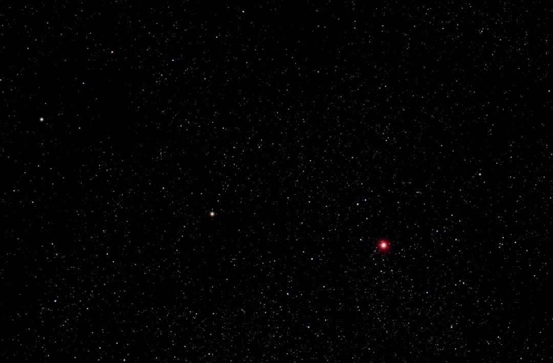 王星越白鹿欢喜冤家互动揭秘：从《周生如故》到《唐宫奇案》